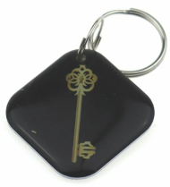 Заготовка RFID мини-карта "Золотой ключ" черный на кольце Заготовка RFID мини-карта "Золотой ключ" черный на кольце