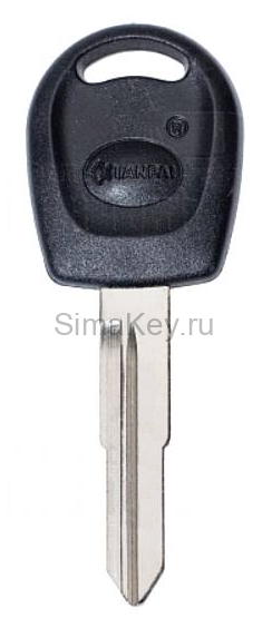 Заготовка ключа Chery авто под чип