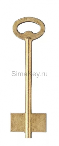 Заготовка ключа ЭТК-2 100*30,2*16,0 мм, лат., лит., б/п