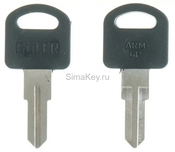 ARM-6P Guler, DMK 1P Canas